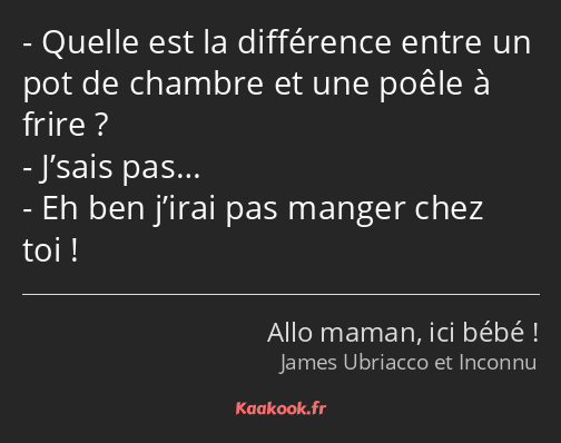 Quelle est la différence entre un pot de chambre et une poêle à frire ? J’sais pas… Eh ben j’irai…