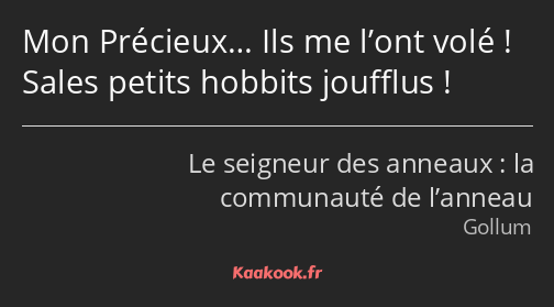 Mon Précieux… Ils me l’ont volé ! Sales petits hobbits joufflus !