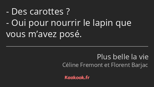 Des carottes ? Oui pour nourrir le lapin que vous m’avez posé.