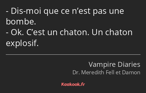 Dis-moi que ce n’est pas une bombe. Ok. C’est un chaton. Un chaton explosif.