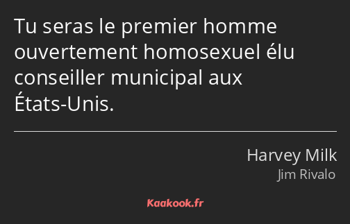Tu seras le premier homme ouvertement homosexuel élu conseiller municipal aux États-Unis.