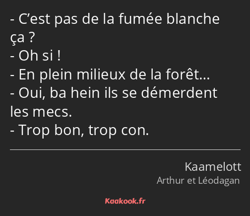 C’est pas de la fumée blanche ça ? Oh si ! En plein milieux de la forêt… Oui, ba hein ils se…