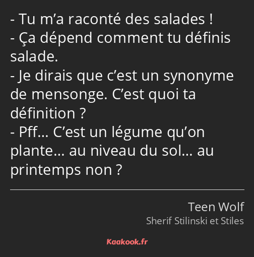 Tu m’a raconté des salades ! Ça dépend comment tu définis salade. Je dirais que c’est un synonyme…