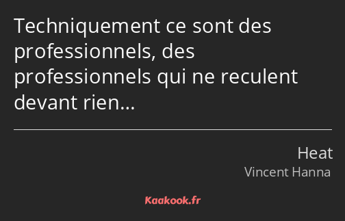 Techniquement ce sont des professionnels, des professionnels qui ne reculent devant rien…