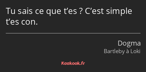 Tu sais ce que t’es ? C’est simple t’es con.