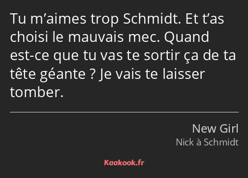 Tu m’aimes trop Schmidt. Et t’as choisi le mauvais mec. Quand est-ce que tu vas te sortir ça de ta…