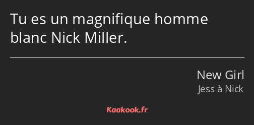 Tu es un magnifique homme blanc Nick Miller.