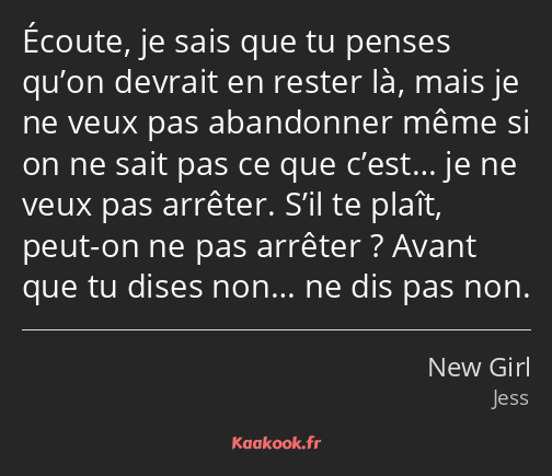 Écoute, je sais que tu penses qu’on devrait en rester là, mais je ne veux pas abandonner même si on…