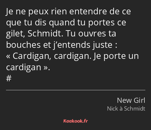 Je ne peux rien entendre de ce que tu dis quand tu portes ce gilet, Schmidt. Tu ouvres ta bouches…