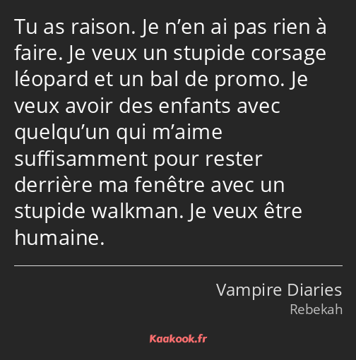 Tu as raison. Je n’en ai pas rien à faire. Je veux un stupide corsage léopard et un bal de promo…