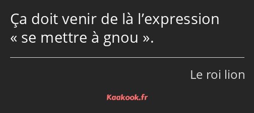 Ça doit venir de là l’expression se mettre à gnou.