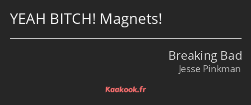 YEAH BITCH! Magnets!