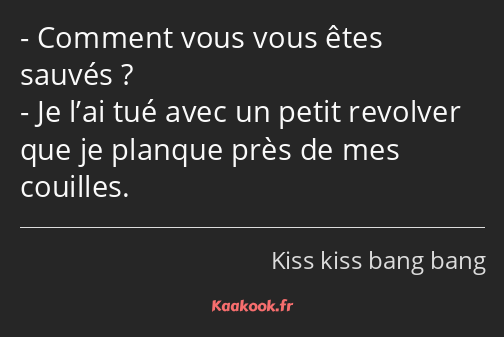 Comment vous vous êtes sauvés ? Je l’ai tué avec un petit revolver que je planque près de mes…