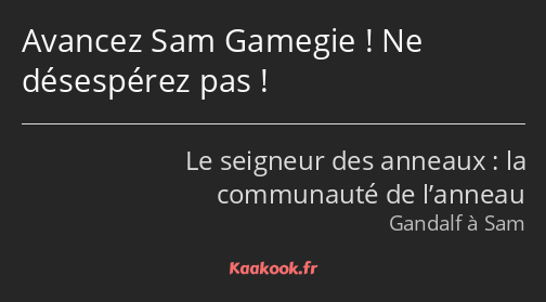 Avancez Sam Gamegie ! Ne désespérez pas !