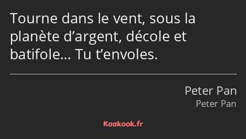 Tourne dans le vent, sous la planète d’argent, décole et batifole… Tu t’envoles.