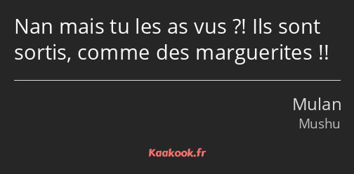 Nan mais tu les as vus ?! Ils sont sortis, comme des marguerites !!