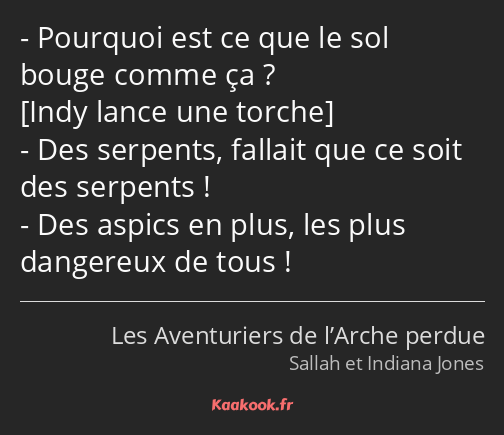 Pourquoi est ce que le sol bouge comme ça ? Des serpents, fallait que ce soit des serpents ! Des…