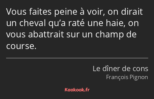 Vous faites peine à voir, on dirait un cheval qu’a raté une haie, on vous abattrait sur un champ de…