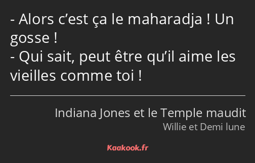 Alors c’est ça le maharadja ! Un gosse ! Qui sait, peut être qu’il aime les vieilles comme toi !