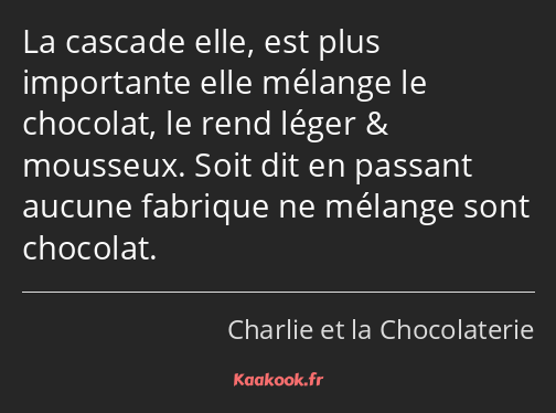 La cascade elle, est plus importante elle mélange le chocolat, le rend léger & mousseux. Soit dit…