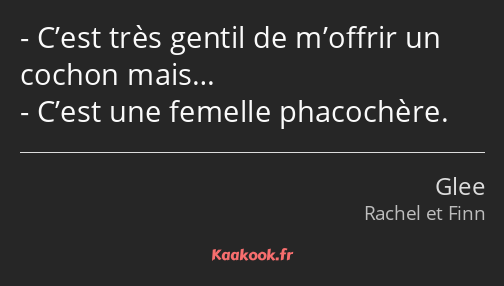 C’est très gentil de m’offrir un cochon mais… C’est une femelle phacochère.