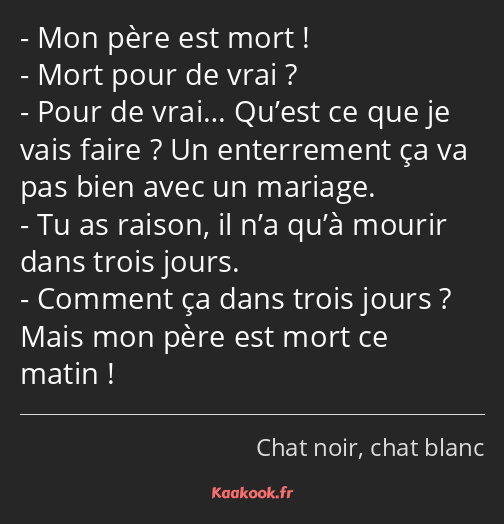 Mon père est mort ! Mort pour de vrai ? Pour de vrai… Qu’est ce que je vais faire ? Un enterrement…