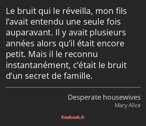 Le bruit qui le réveilla, mon fils l’avait entendu une seule fois auparavant. Il y avait plusieurs…