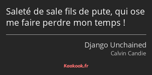 Saleté de sale fils de pute, qui ose me faire perdre mon temps !