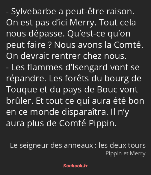 Sylvebarbe a peut-être raison. On est pas d’ici Merry. Tout cela nous dépasse. Qu’est-ce qu’on peut…