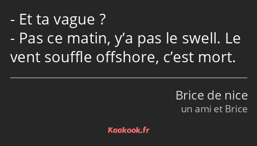 Et ta vague ? Pas ce matin, y’a pas le swell. Le vent souffle offshore, c’est mort.