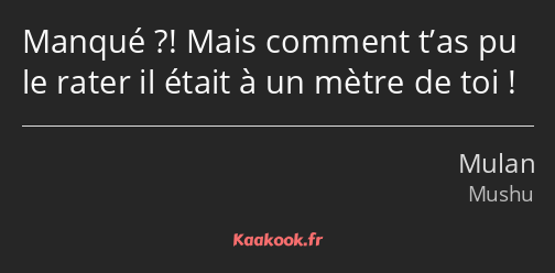 Manqué ?! Mais comment t’as pu le rater il était à un mètre de toi !