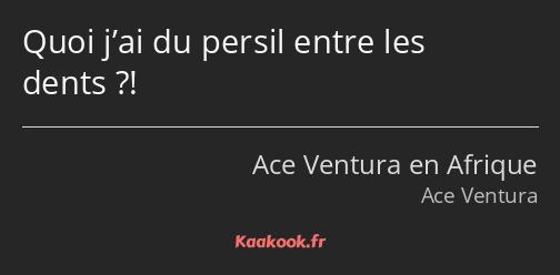 Quoi j’ai du persil entre les dents ?!