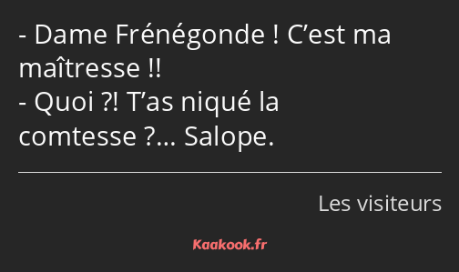 Dame Frénégonde ! C’est ma maîtresse !! Quoi ?! T’as niqué la comtesse ?… Salope.