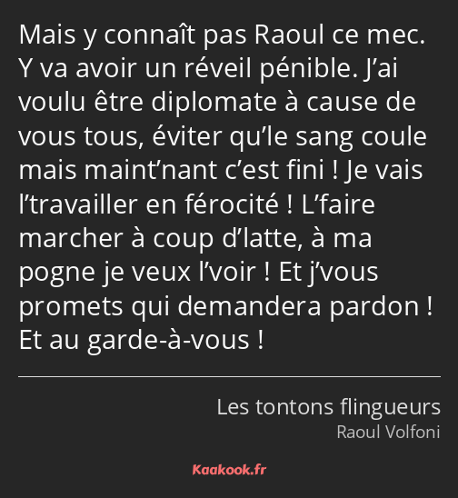 Mais y connaît pas Raoul ce mec. Y va avoir un réveil pénible. J’ai voulu être diplomate à cause de…