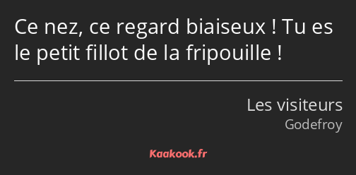 Ce nez, ce regard biaiseux ! Tu es le petit fillot de la fripouille !