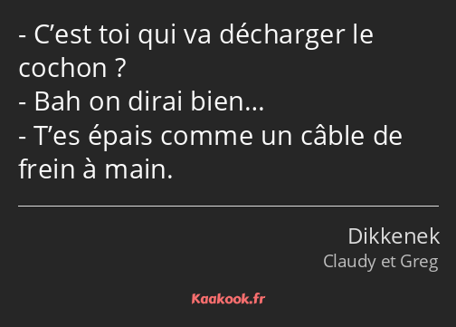 C’est toi qui va décharger le cochon ? Bah on dirai bien… T’es épais comme un câble de frein à main.