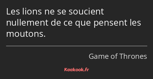 Les lions ne se soucient nullement de ce que pensent les moutons.