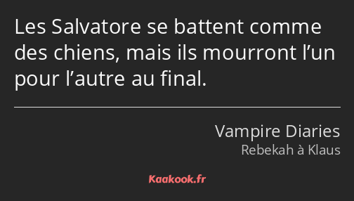 Les Salvatore se battent comme des chiens, mais ils mourront l’un pour l’autre au final.