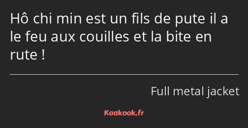 Hô chi min est un fils de pute il a le feu aux couilles et la bite en rute !