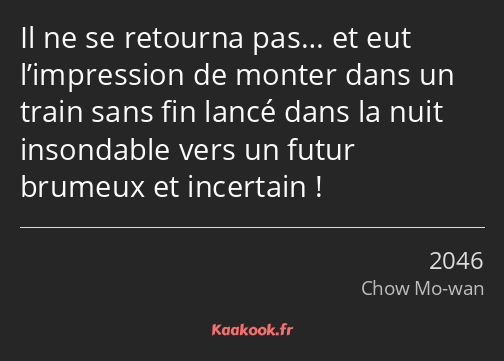 Il ne se retourna pas… et eut l’impression de monter dans un train sans fin lancé dans la nuit…