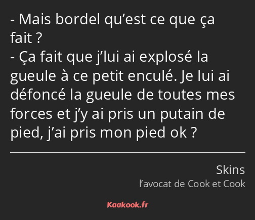 Mais bordel qu’est ce que ça fait ? Ça fait que j’lui ai explosé la gueule à ce petit enculé. Je…