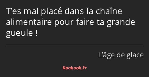 T’es mal placé dans la chaîne alimentaire pour faire ta grande gueule !