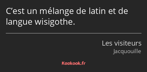 C’est un mélange de latin et de langue wisigothe.