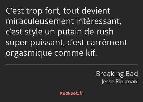 C’est trop fort, tout devient miraculeusement intéressant, c’est style un putain de rush super…