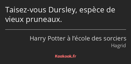 Taisez-vous Dursley, espèce de vieux pruneaux.