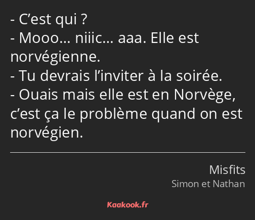 C’est qui ? Mooo… niiic… aaa. Elle est norvégienne. Tu devrais l’inviter à la soirée. Ouais mais…