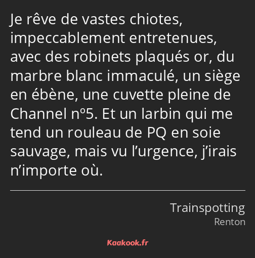 Je rêve de vastes chiotes, impeccablement entretenues, avec des robinets plaqués or, du marbre…