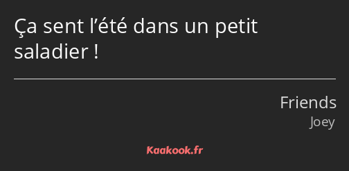 Ça sent l’été dans un petit saladier !