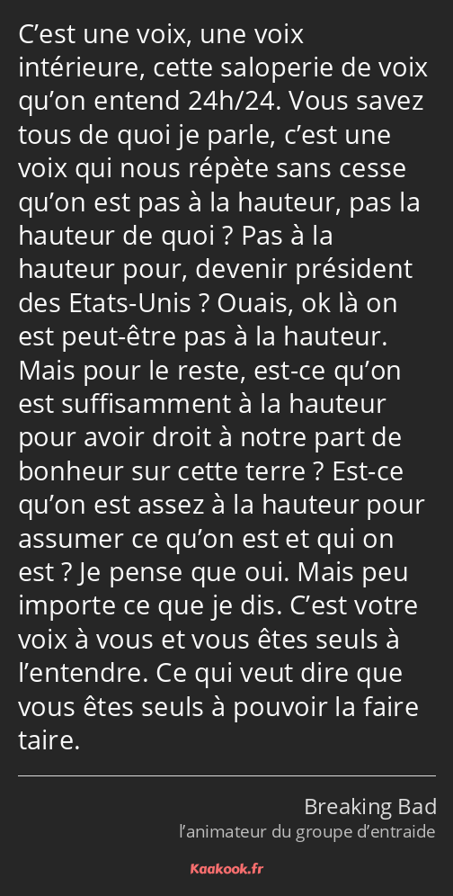 C’est une voix, une voix intérieure, cette saloperie de voix qu’on entend 24h/24. Vous savez tous…