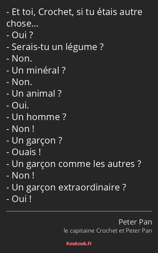 Et toi, Crochet, si tu étais autre chose… Oui ? Serais-tu un légume ? Non. Un minéral ? Non. Un…